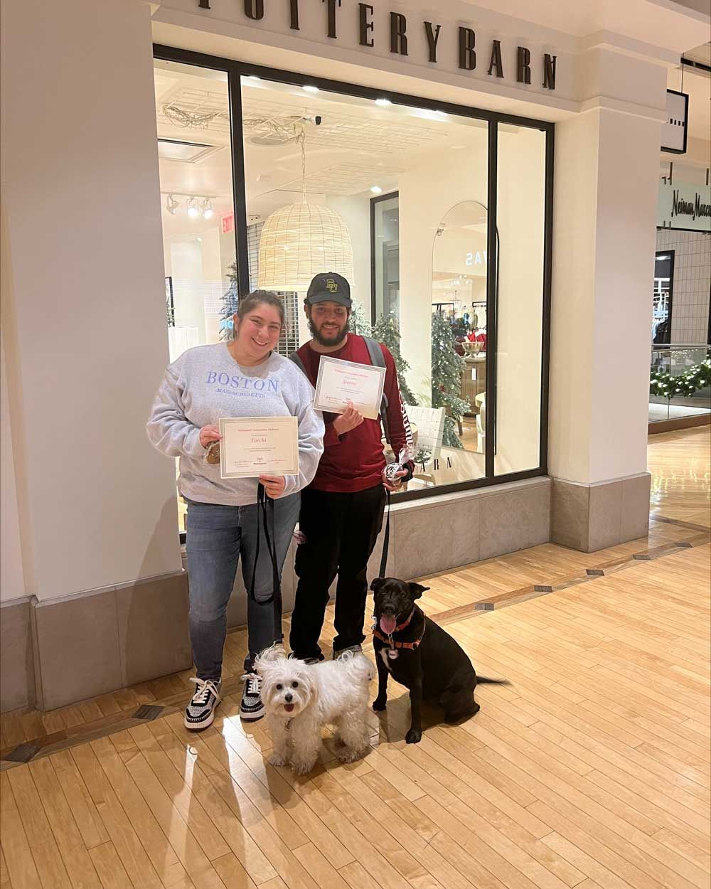 Dogs Inside a Mall — St. Louis, MO — PetImpact!