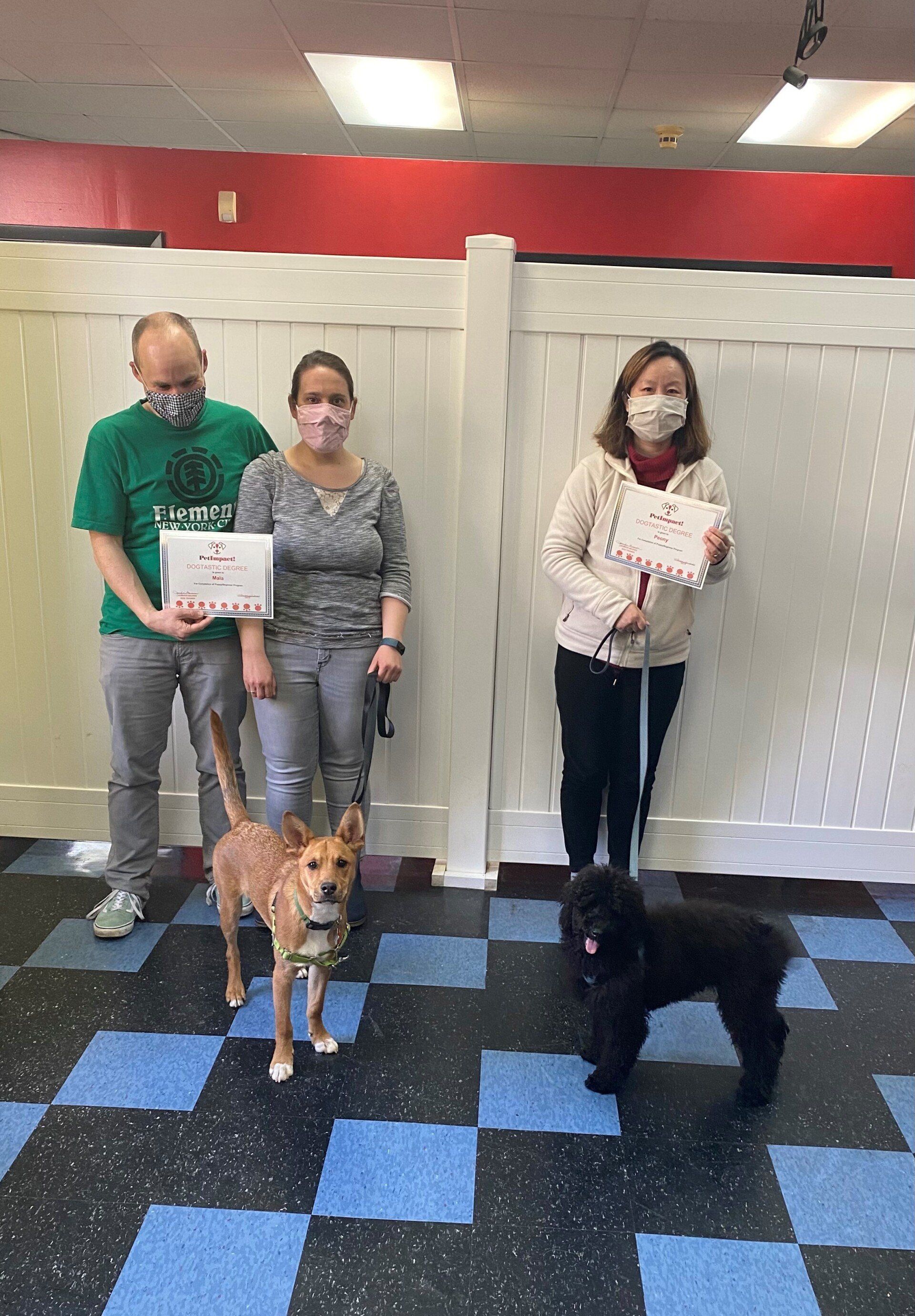 Three people and two dogs with certificates. People wear masks in a room with a black and blue tiled floor.