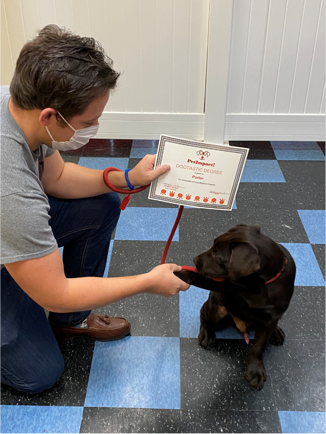 Person kneeling, showing certificate to black dog. Dog is sitting, looking at its paw. Tile floor.