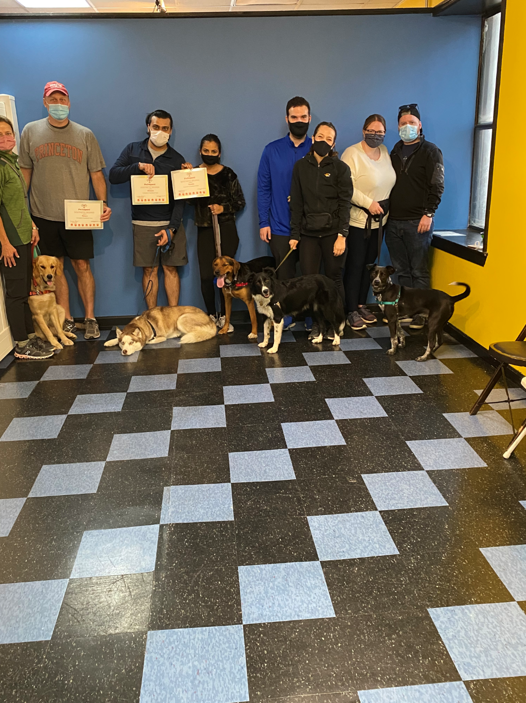 People with dogs pose for a photo in a room with blue walls, and a checkered floor. Some hold certificates.