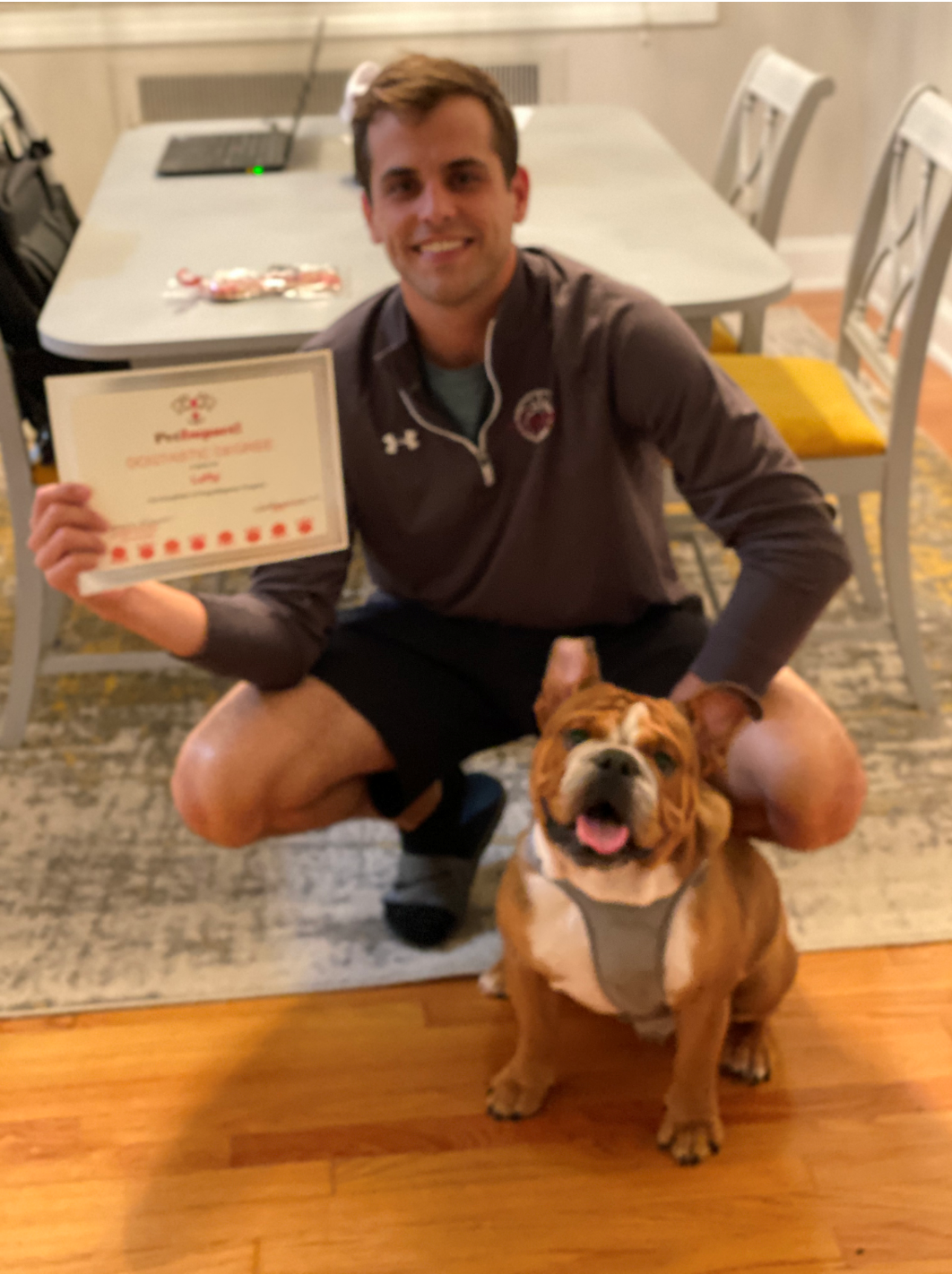 Man holding certificate, squatting beside a bulldog on a carpet in front of a table and chairs.