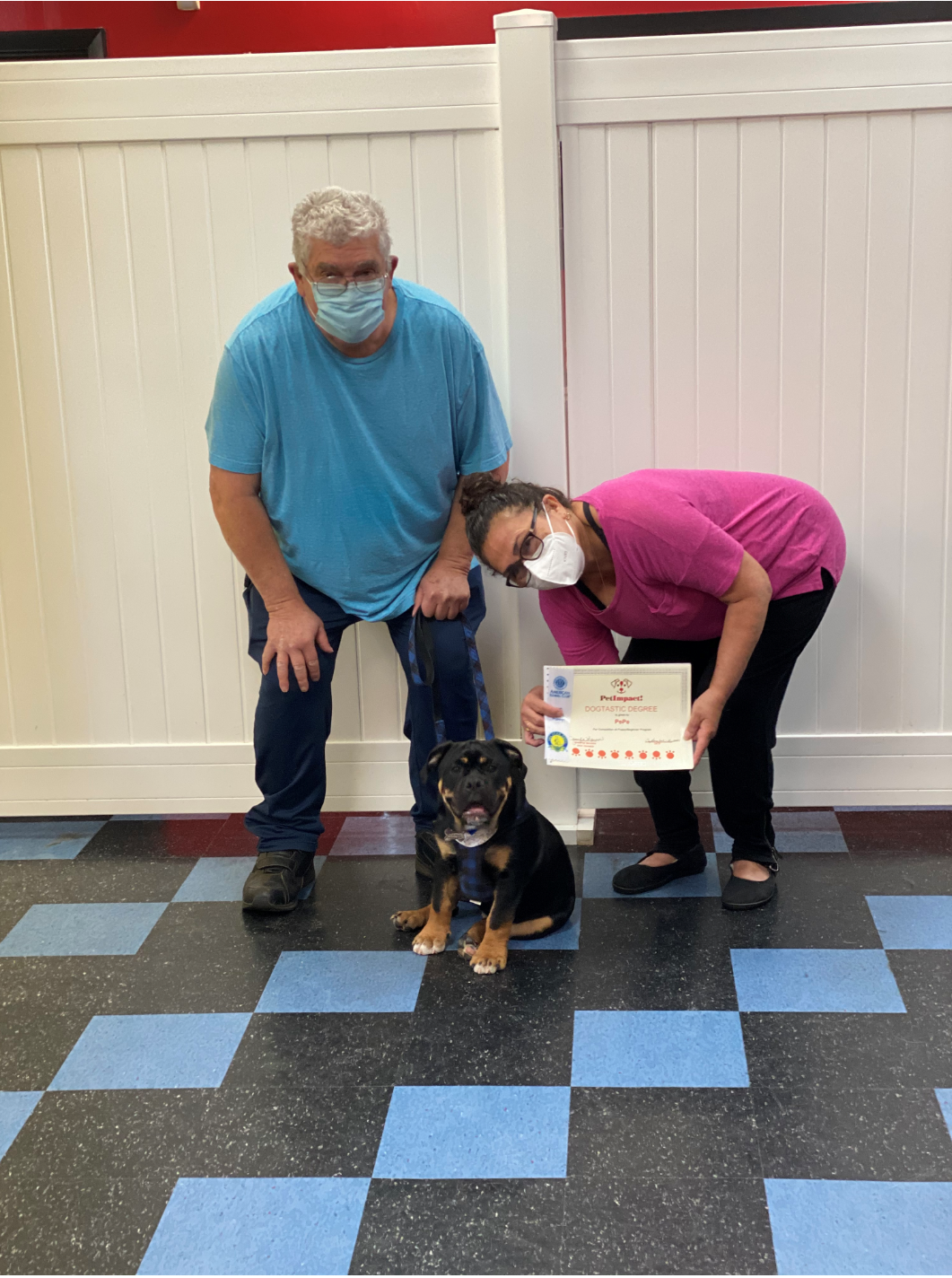 A dog sits with two people, one holding a certificate. They are in a room with a black and blue floor.