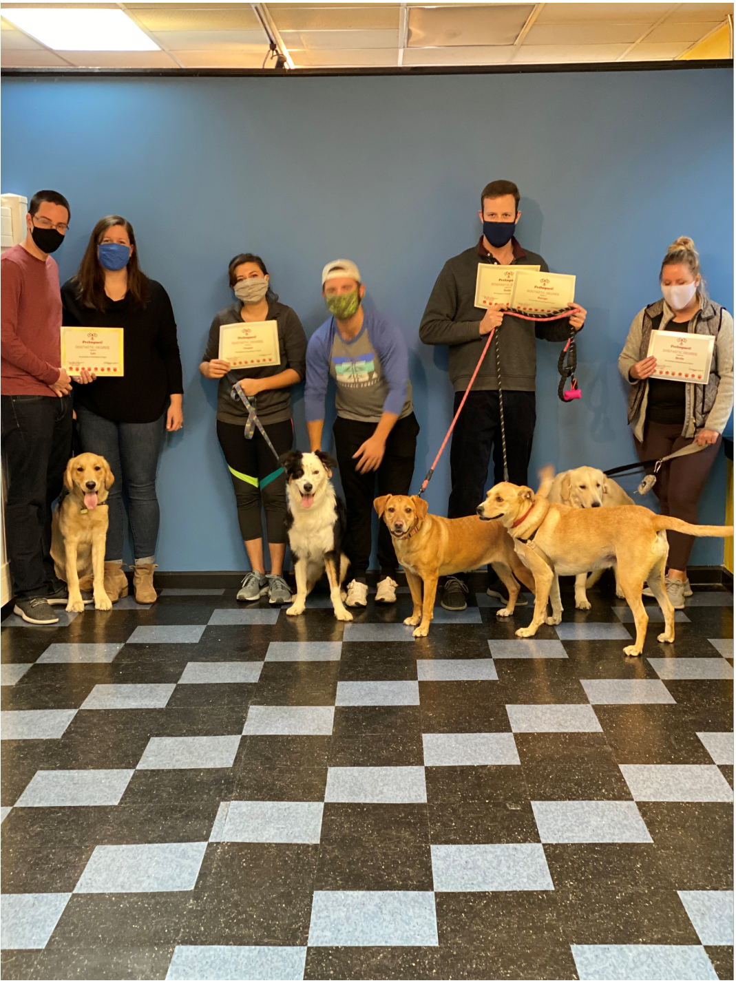 People with dogs holding certificates in front of a blue wall, checkerboard floor.