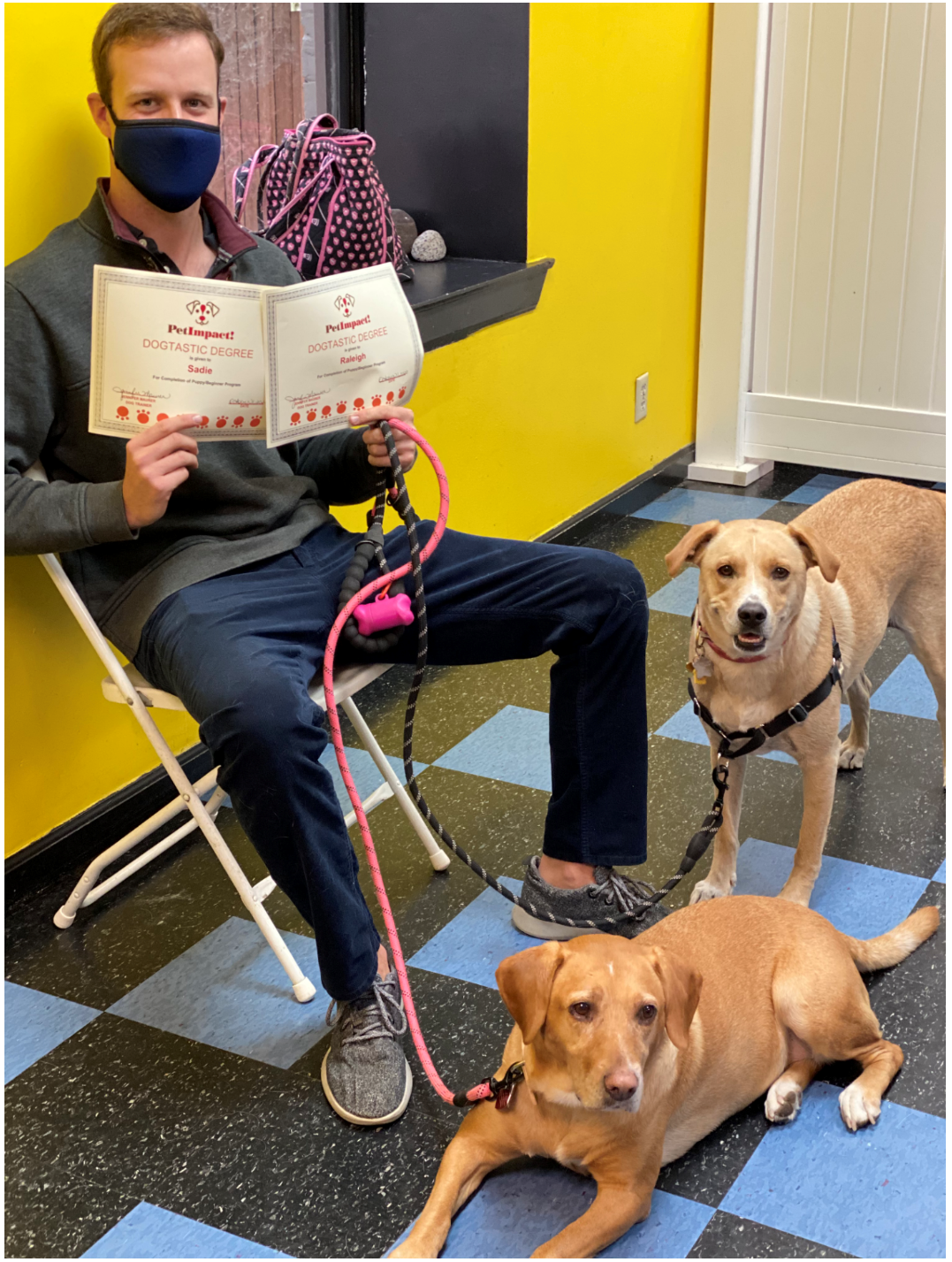 Man in mask holds certificates, sits with two dogs on leashes, in front of a yellow wall.