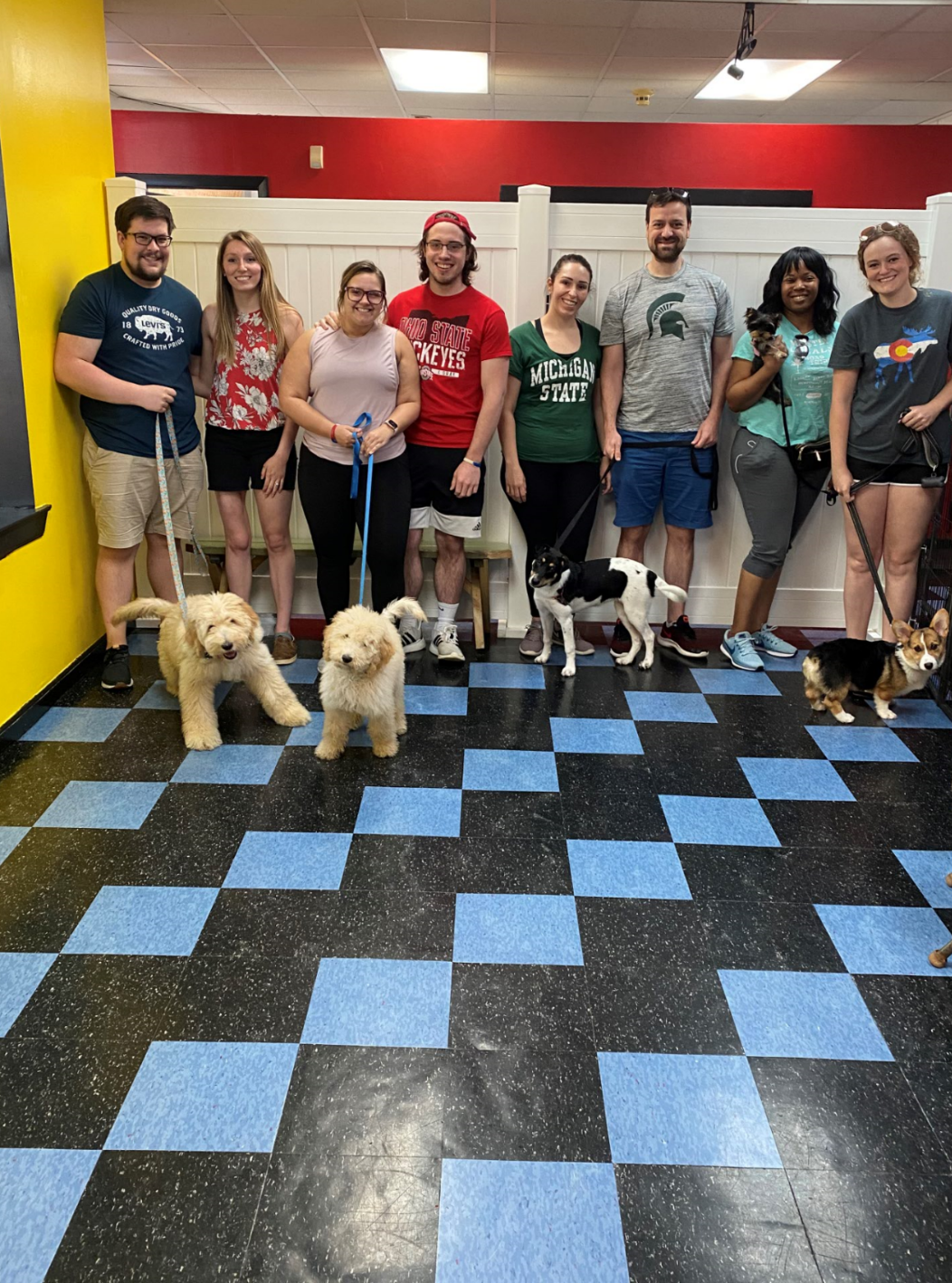 Group of people with dogs in a room with blue and black checkered floors. Some hold leashes.
