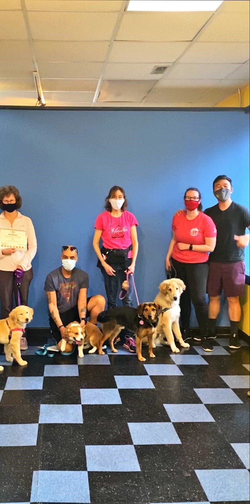 People and dogs pose in front of a blue wall and checkered floor. Everyone is wearing a mask.