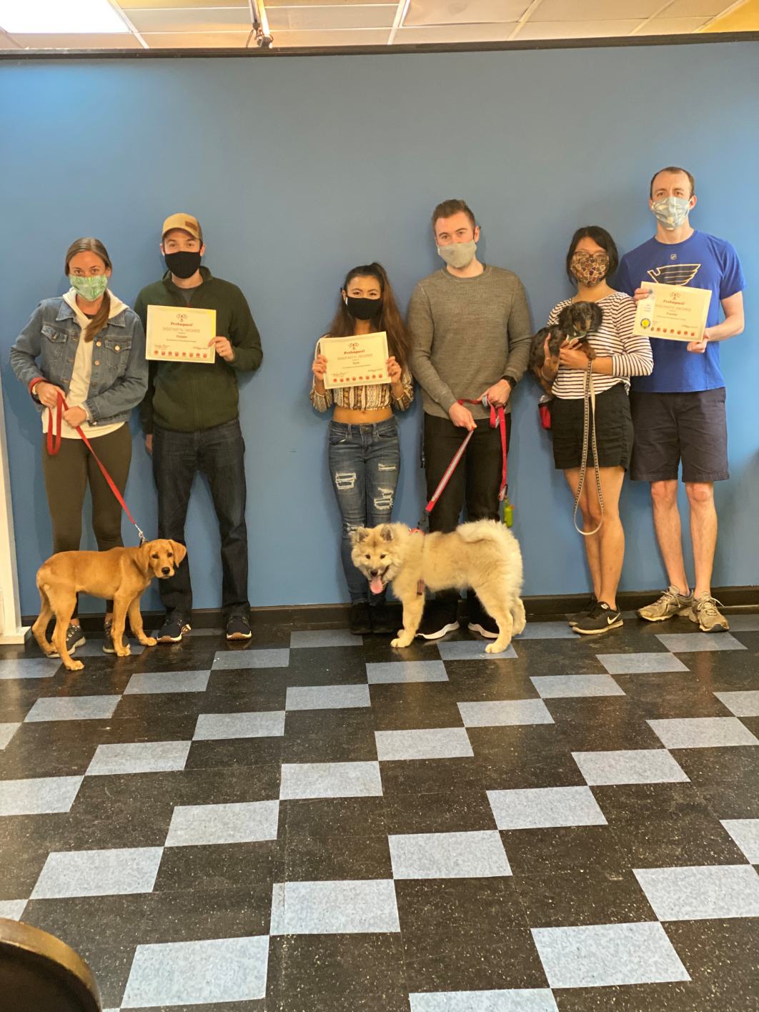 Six people and dogs pose, holding certificates, in front of a blue wall with checkered flooring.