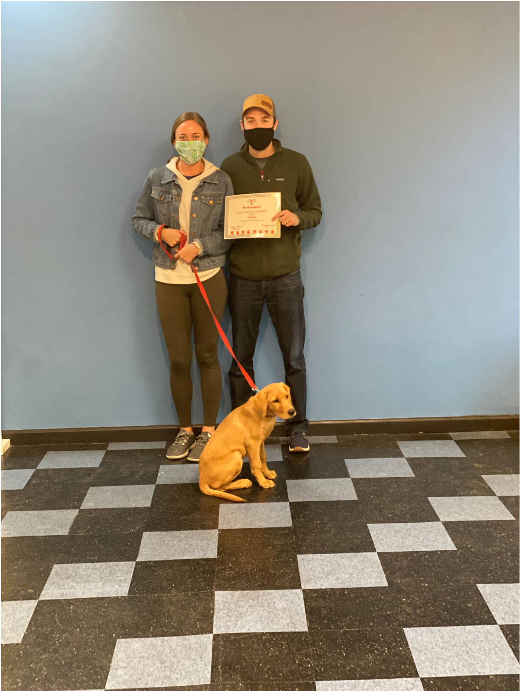 A couple with a golden retriever puppy posing with a certificate against a blue wall.
