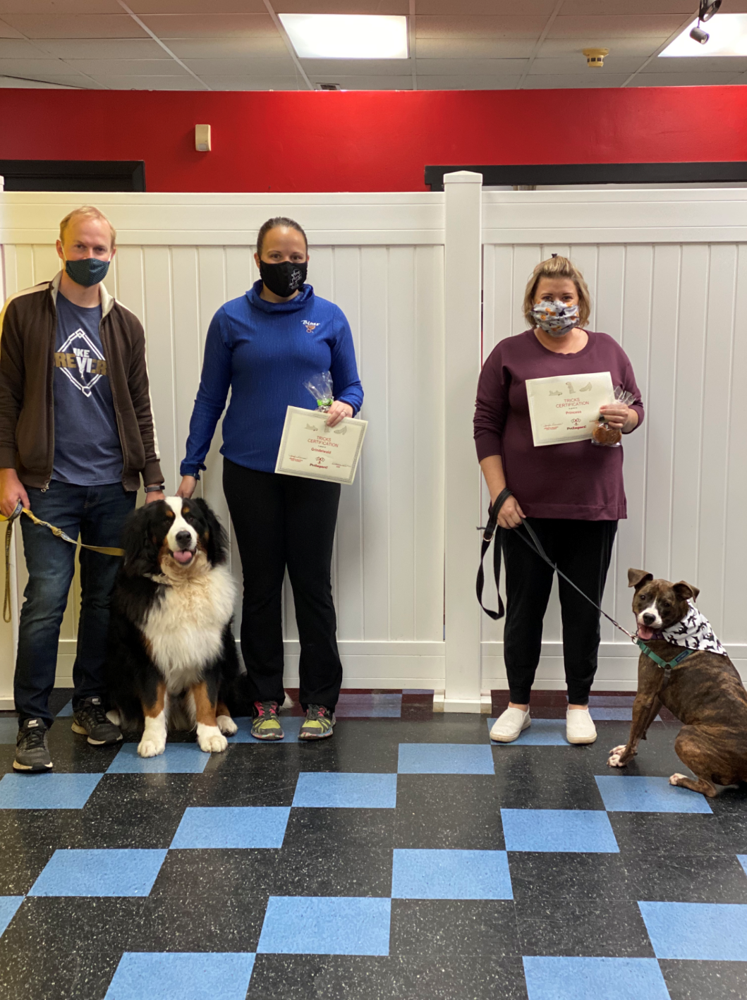 Three people and two dogs pose with certificates indoors. Checkered floor, white panel wall, red wall.