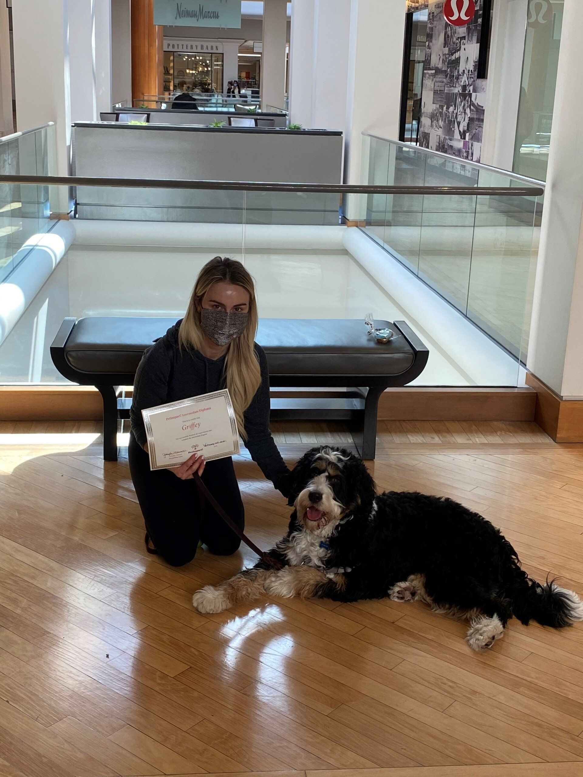 Woman wearing a face mask kneels with a Bernedoodle dog in a mall. She holds paper; the dog lies down.