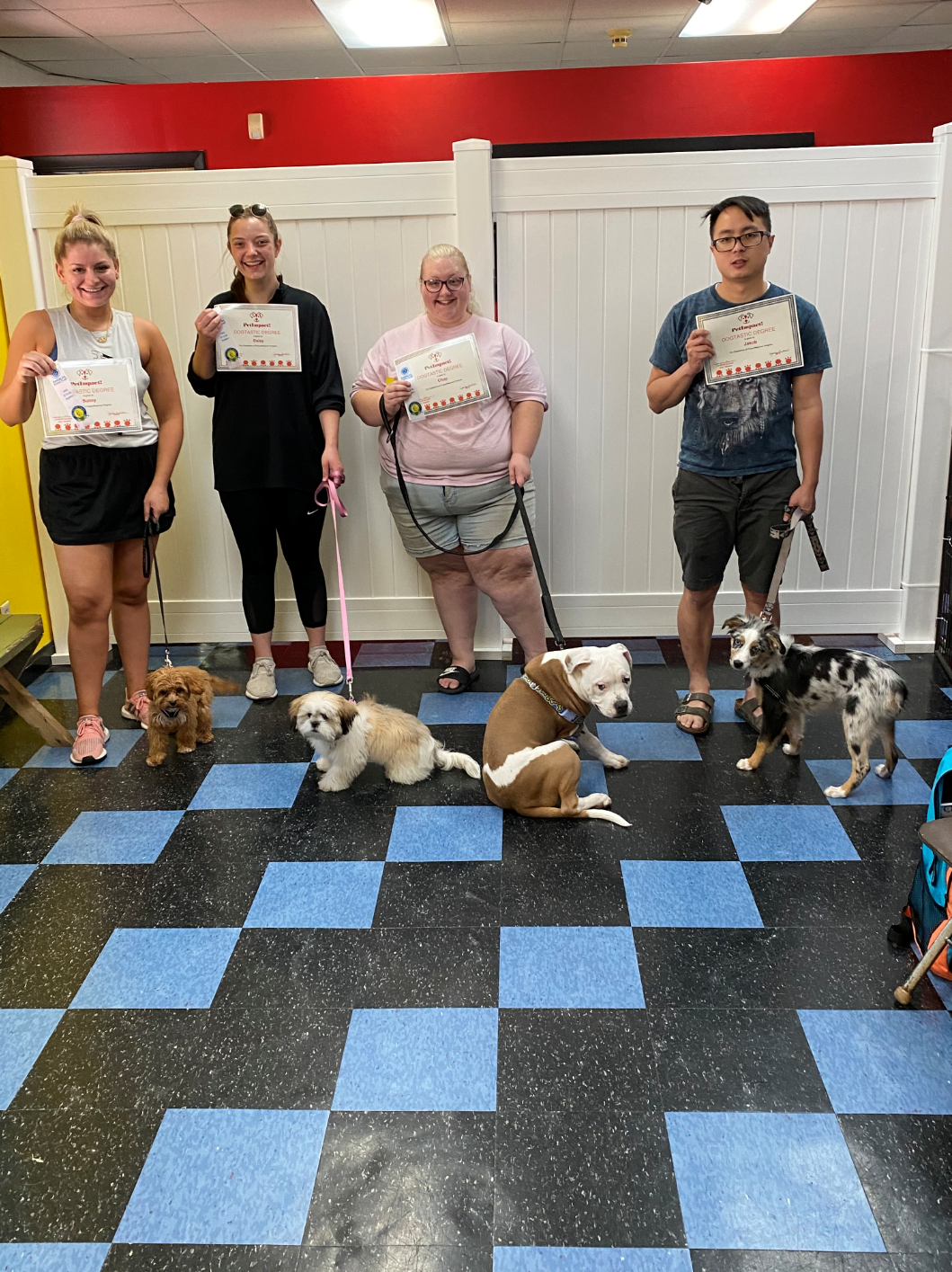 Four people and four dogs in a room. People hold certificates; dogs are leashed. Blue and black checkered floor.