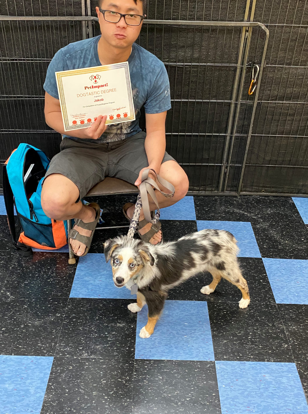 Man sits with a leash and an Australian Shepherd dog. Man holds certificate. Black, blue floor.