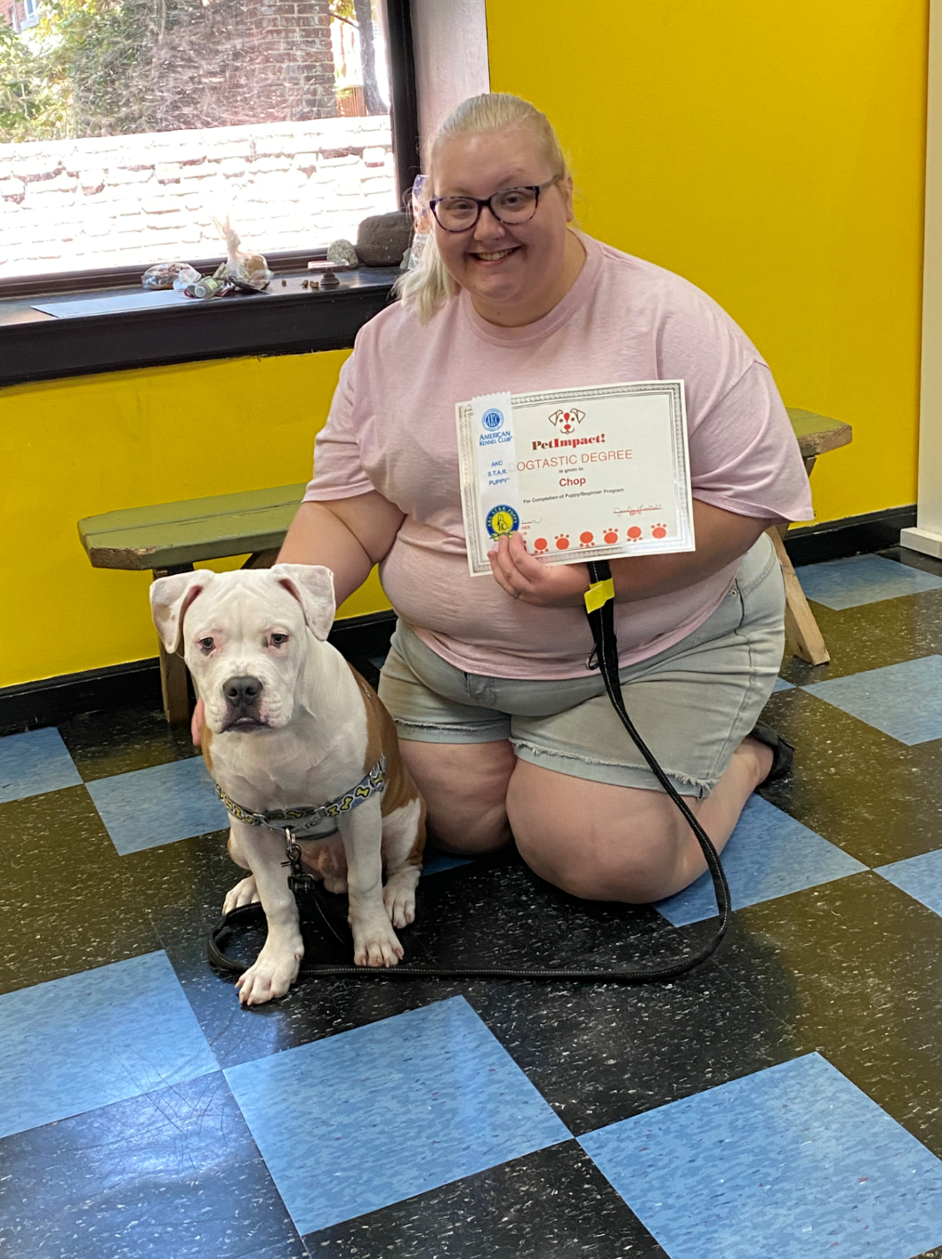 Woman kneels with dog, holding certificate. They are on blue checkered floor. Dog wears a harness.