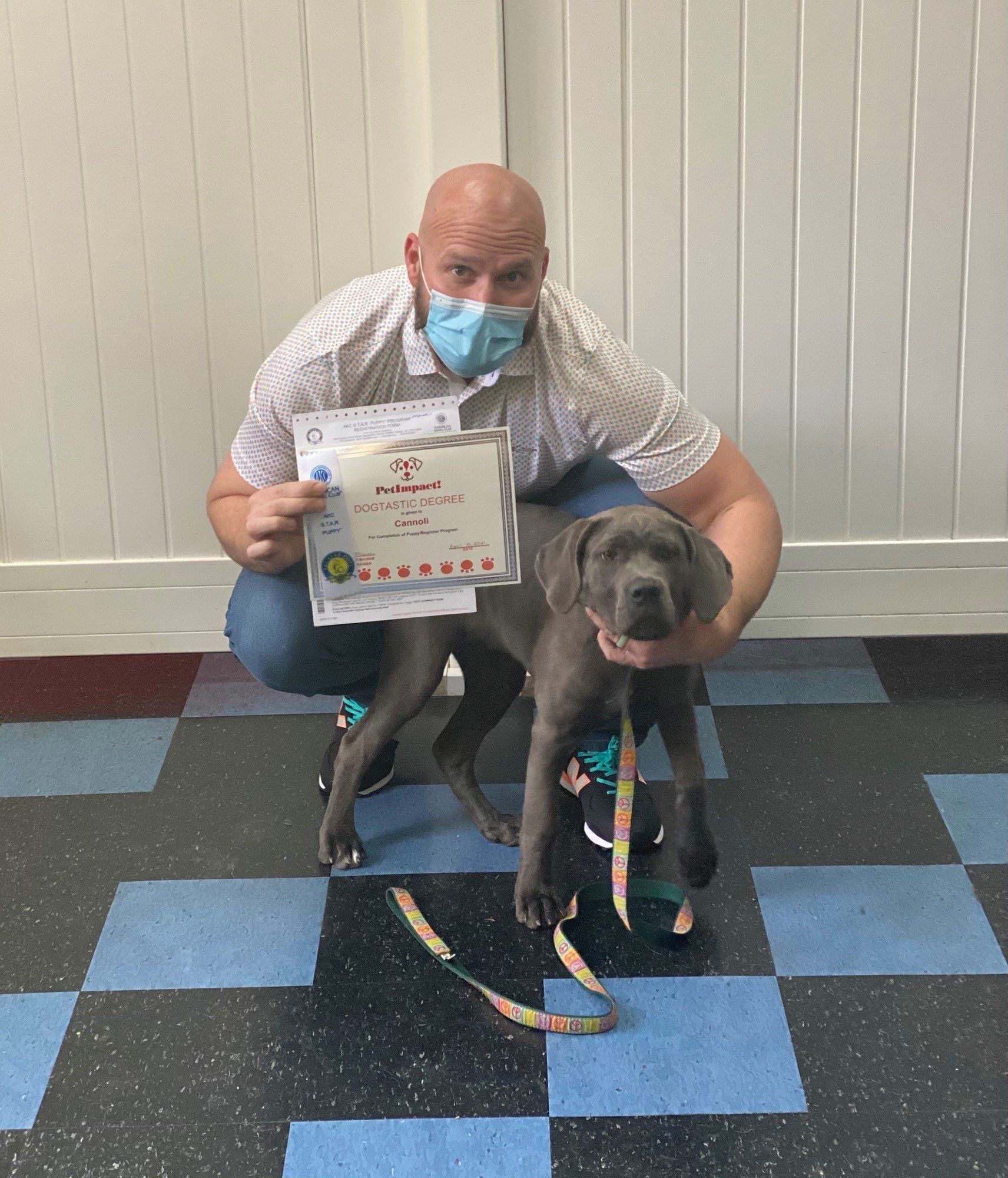 Man in mask kneels with blue puppy, holding a certificate. They are on a blue and black tiled floor.
