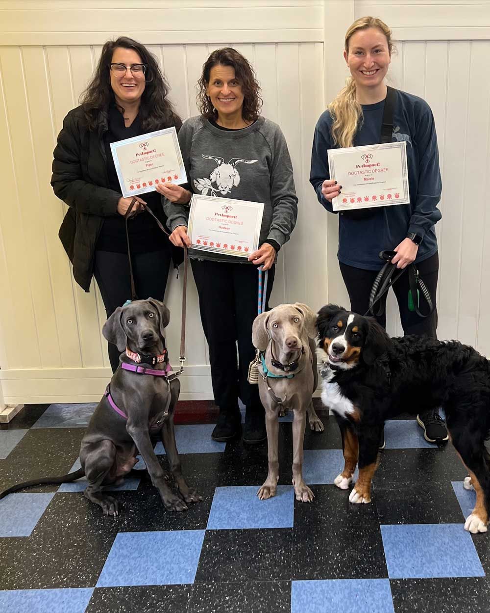 Three Women Holding a Certificate — St. Louis, MO — PetImpact!