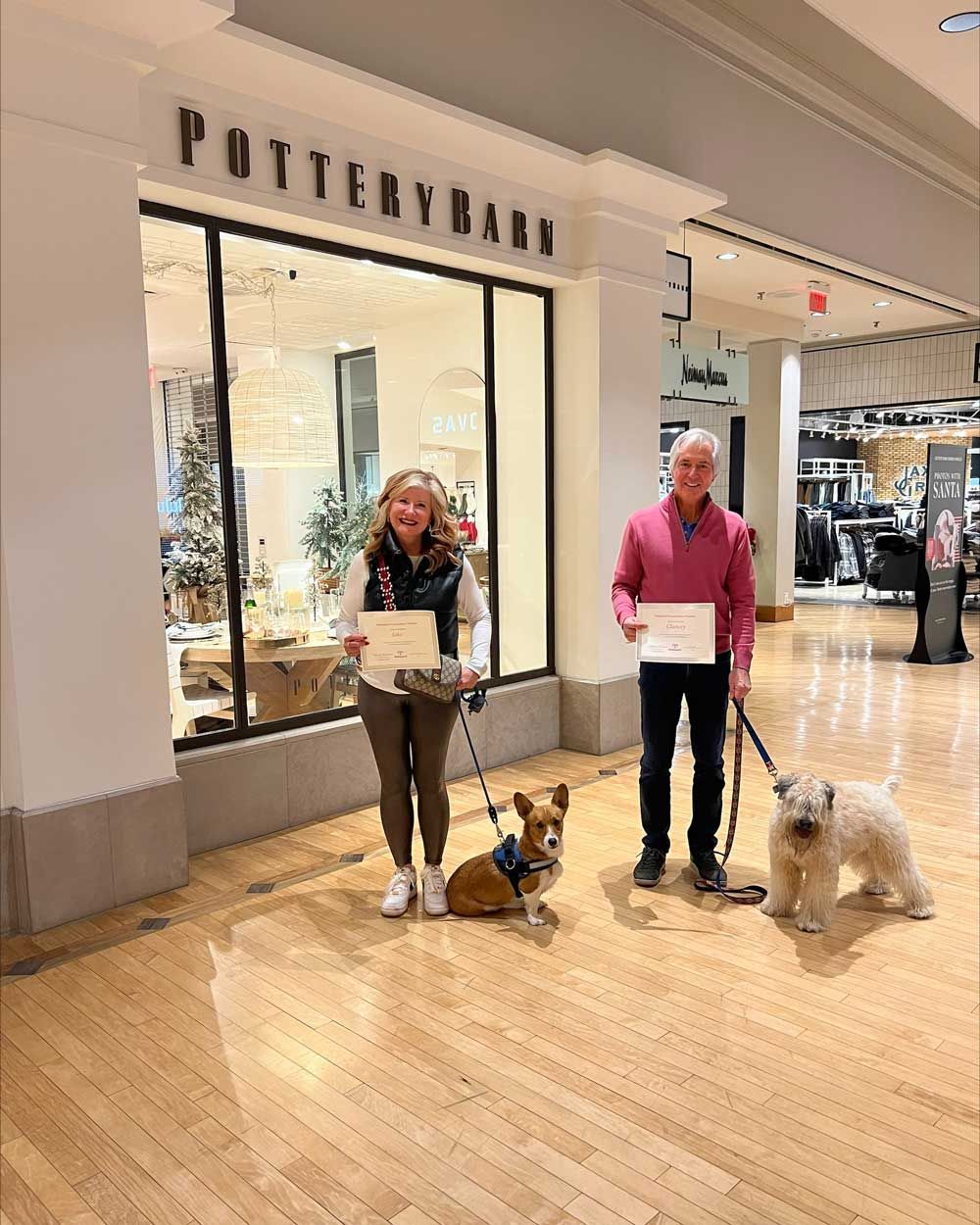 Matured Owners with Their Dogs — St. Louis, MO — PetImpact!