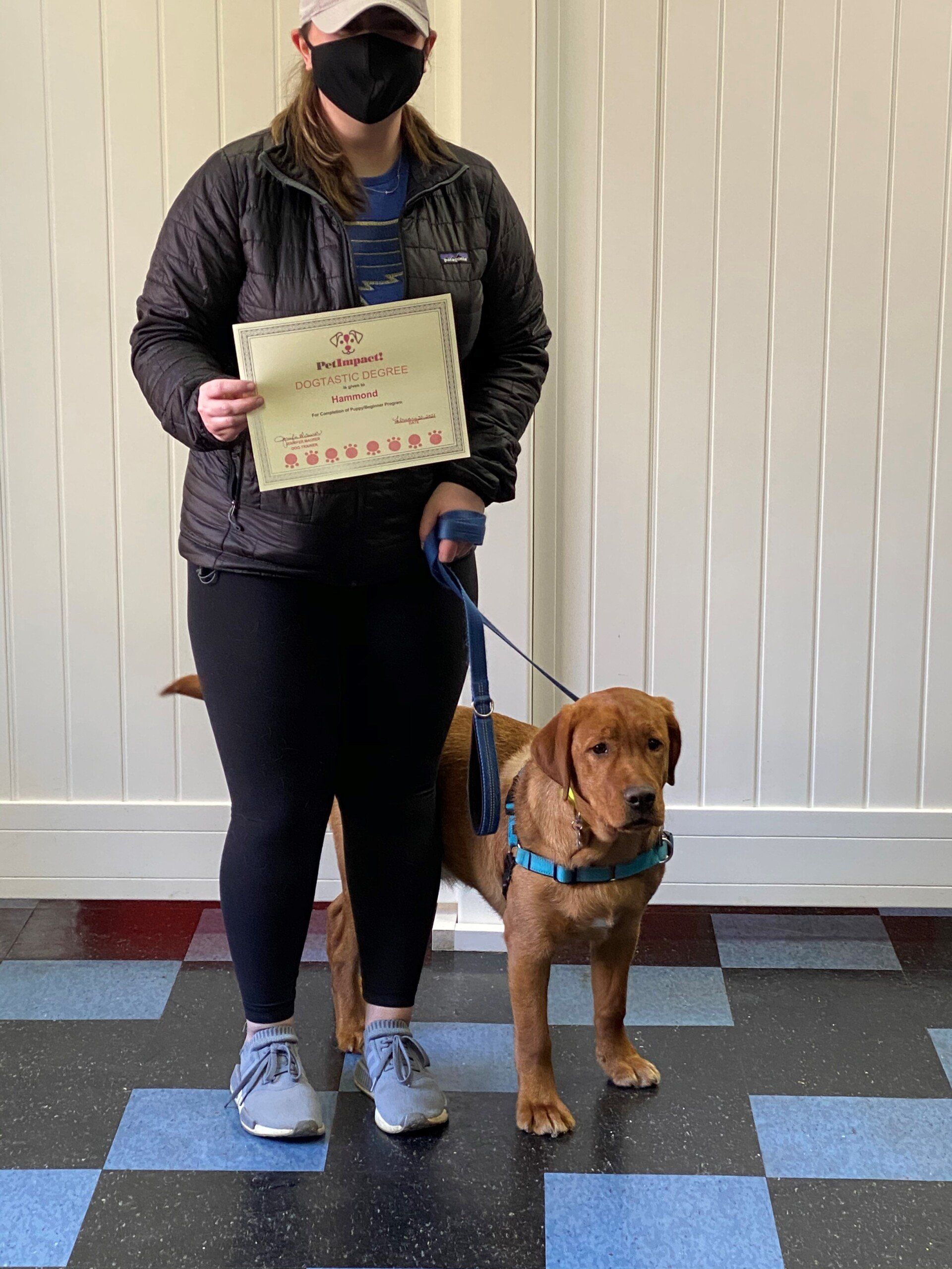Person in black jacket and mask with dog holding certificate; inside.