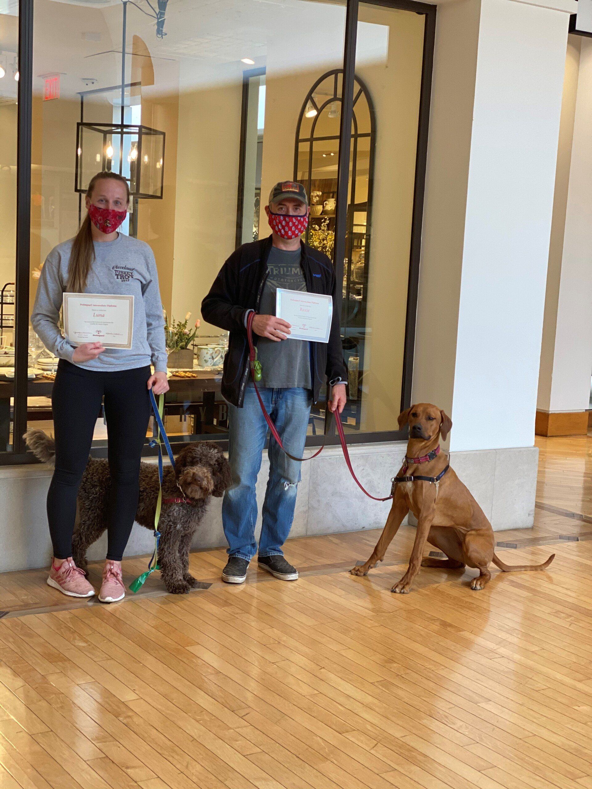 Two people with certificates and dogs indoors. One dog is brown, the other is curly, brown and white. People are masked.