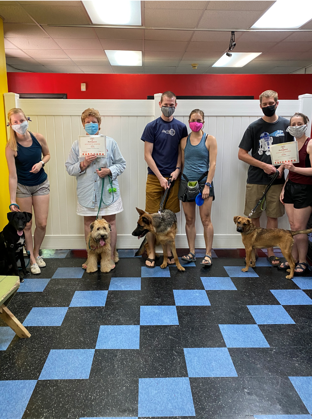 People with dogs at an indoor training class, some holding certificates. Blue and black checkered floor.