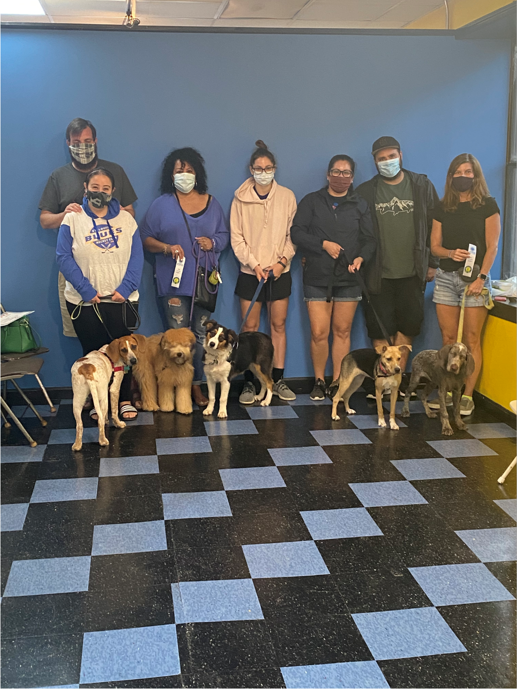 People and dogs posing together in front of a blue wall, checkerboard floor.