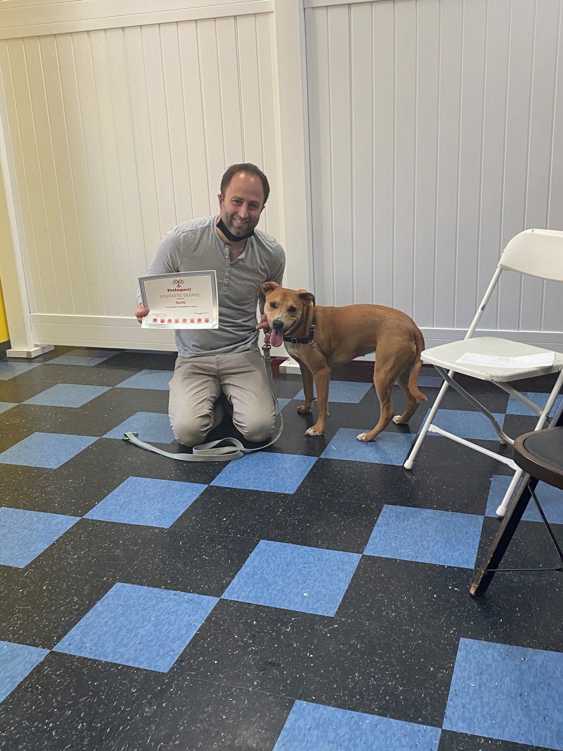 Man kneeling with a brown dog, holding a certificate in a room with blue and black checkered floor.