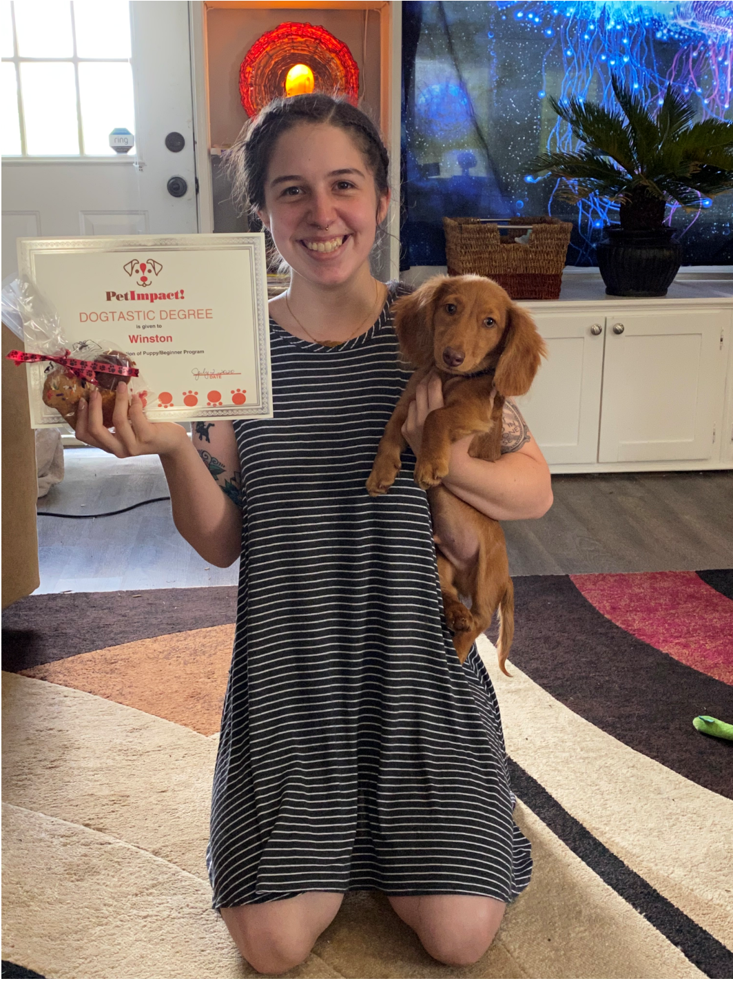Woman kneeling, holding a dachshund puppy and a framed certificate, smiling. Interior setting.