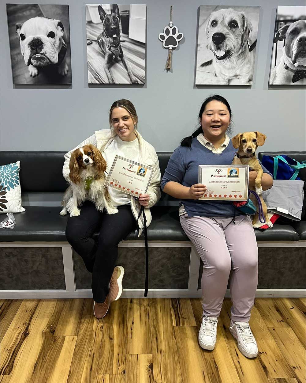 Two Women Sitting with Their Dogs — St. Louis, MO — PetImpact!
