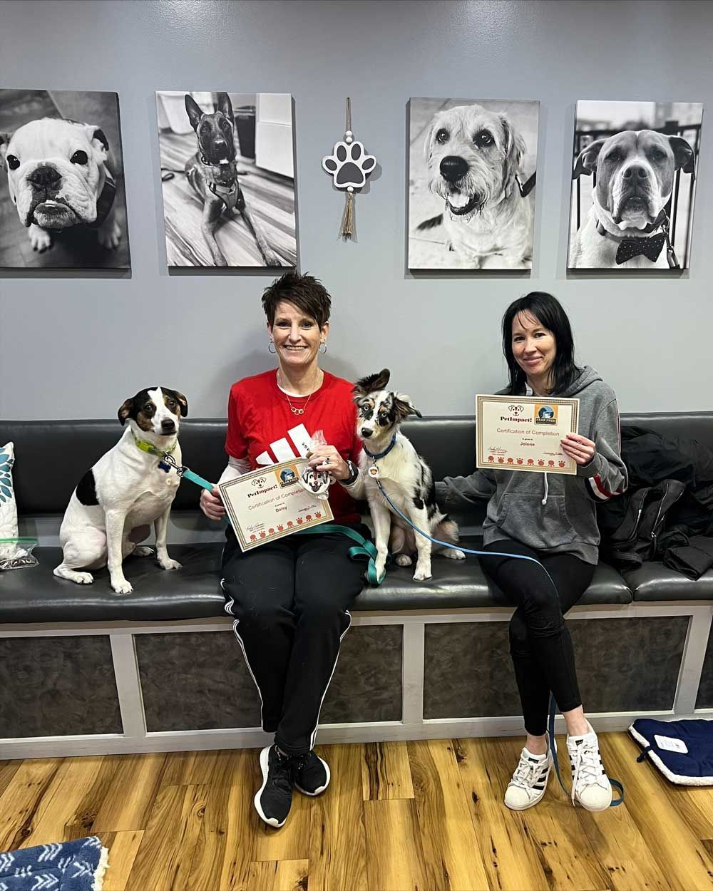 Two Women Sitting with Their Well Behaved Dogs — St. Louis, MO — PetImpact!