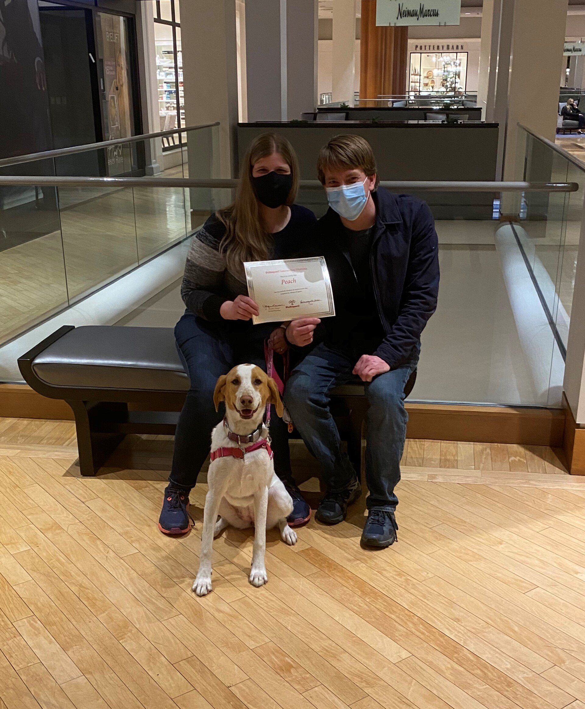 Two people and a dog seated on a bench, holding a drawing, inside a building with a wooden floor.