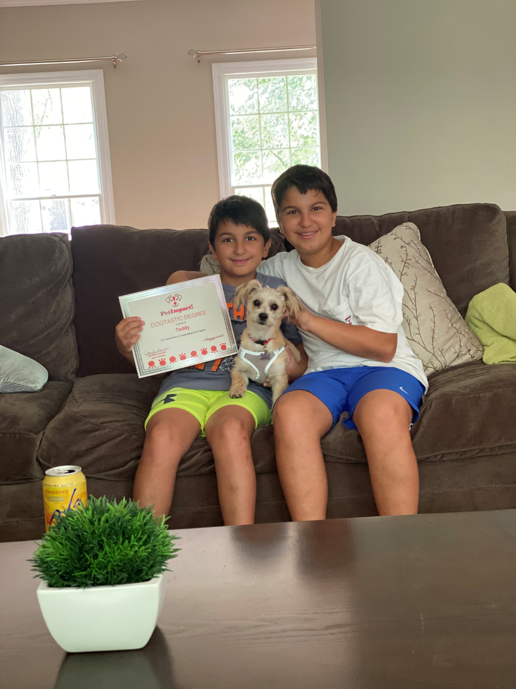 Two boys on a couch with a small dog, holding a certificate.