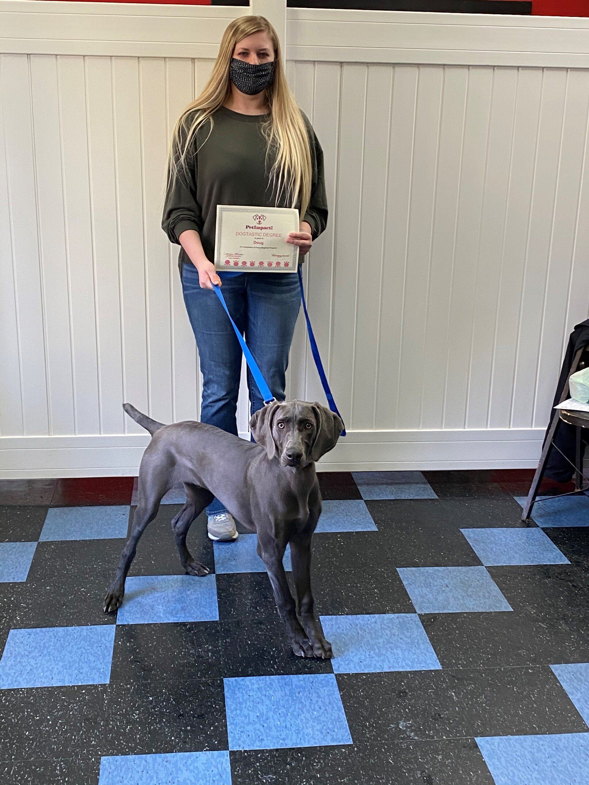 Woman in a mask and blue jeans with a gray dog on a blue leash, holding a certificate. Indoors, checkerboard floor.