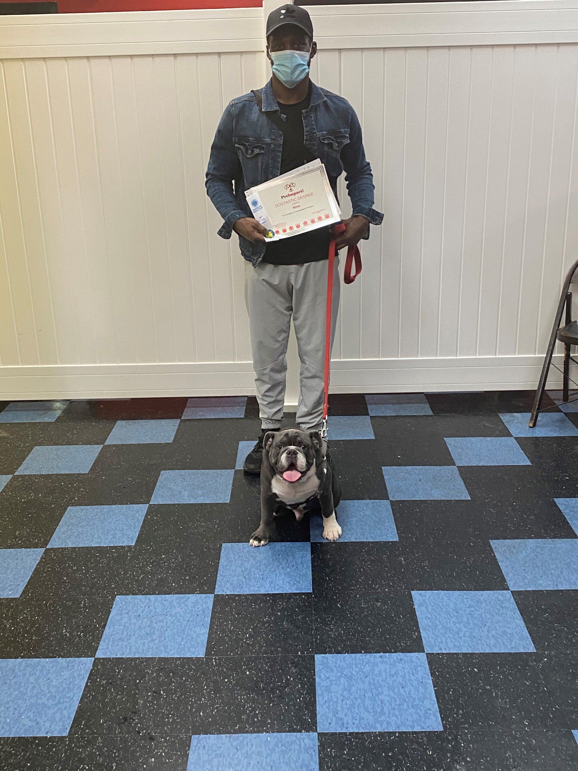 Person in denim jacket and mask holds a certificate, standing with a bulldog on a checkered floor.