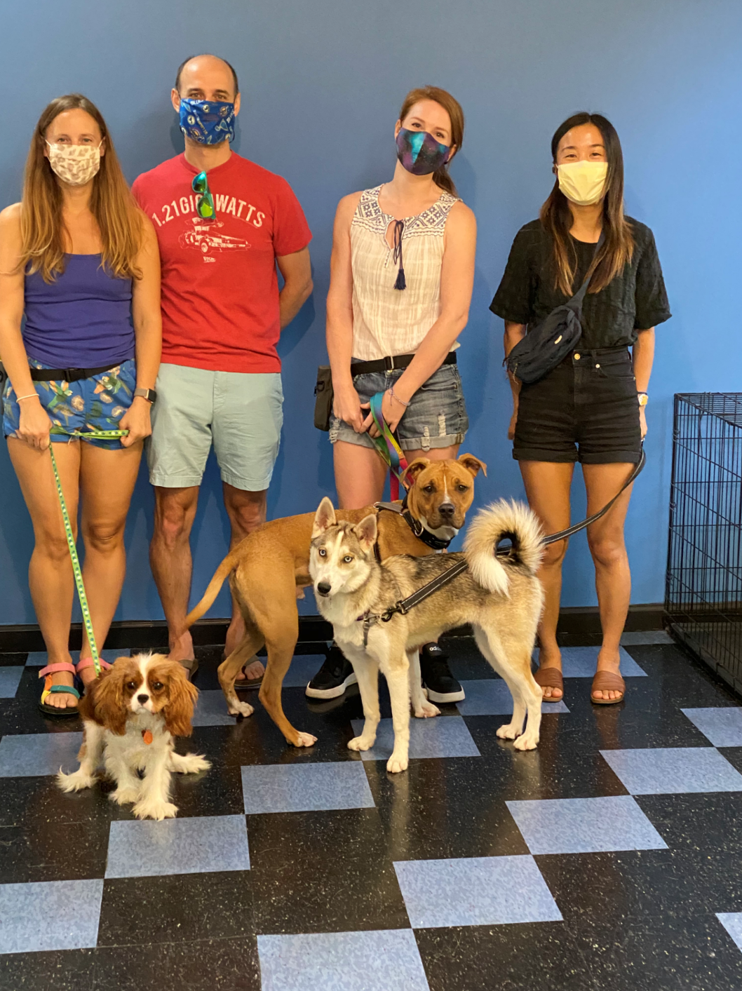 Group of four people with leashed dogs indoors, all wearing masks.