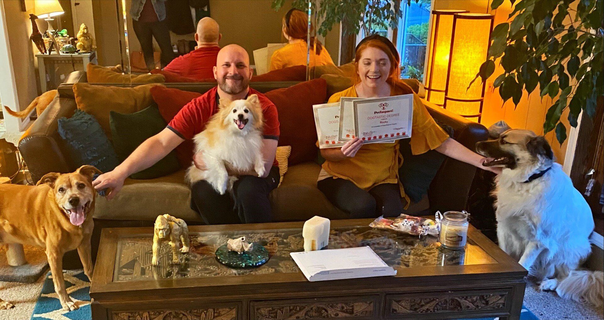Two people and three dogs pose on a couch with papers and gifts.