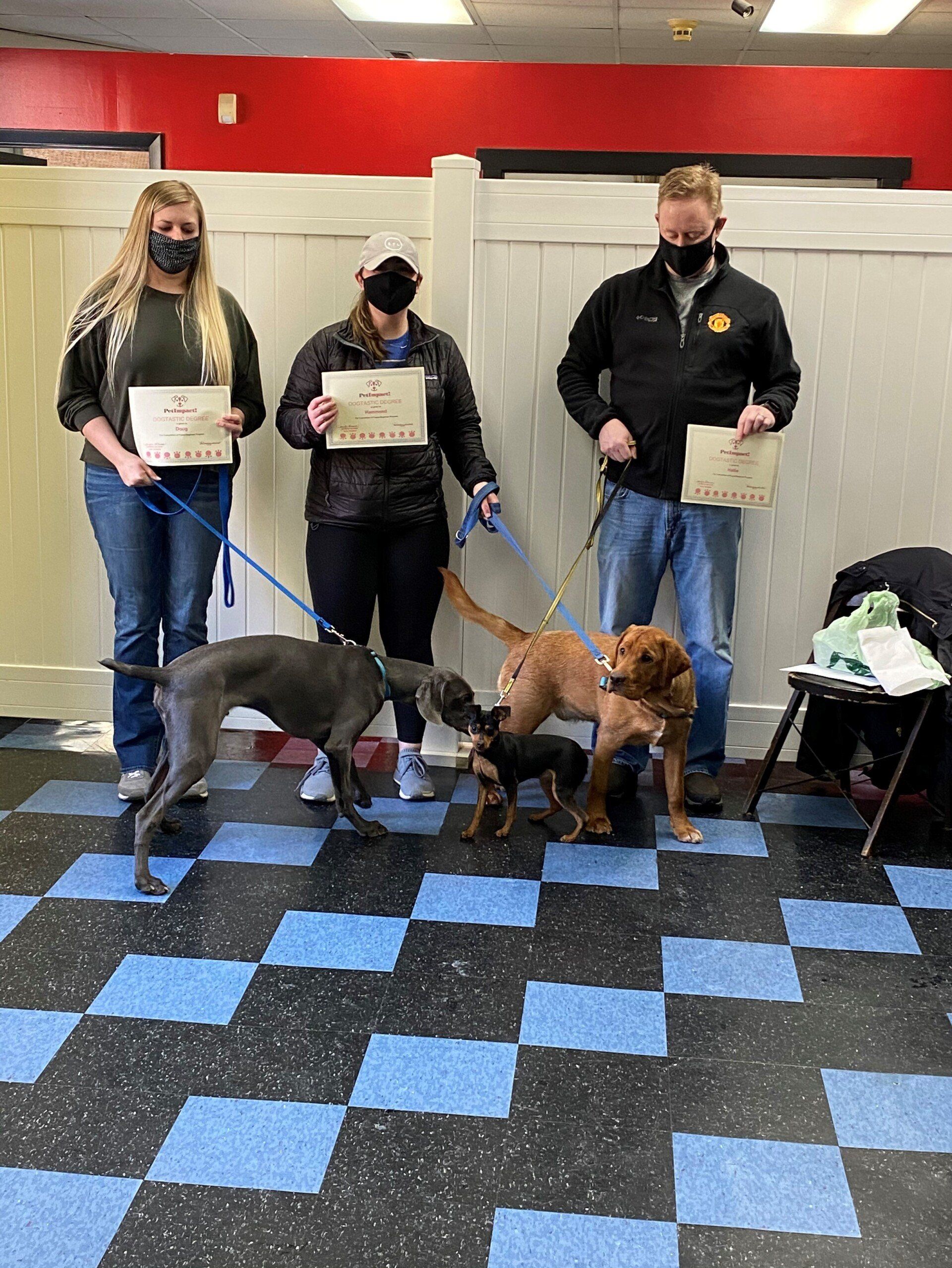 Three people with leashed dogs. They hold certificates. The floor is blue and black checkered.
