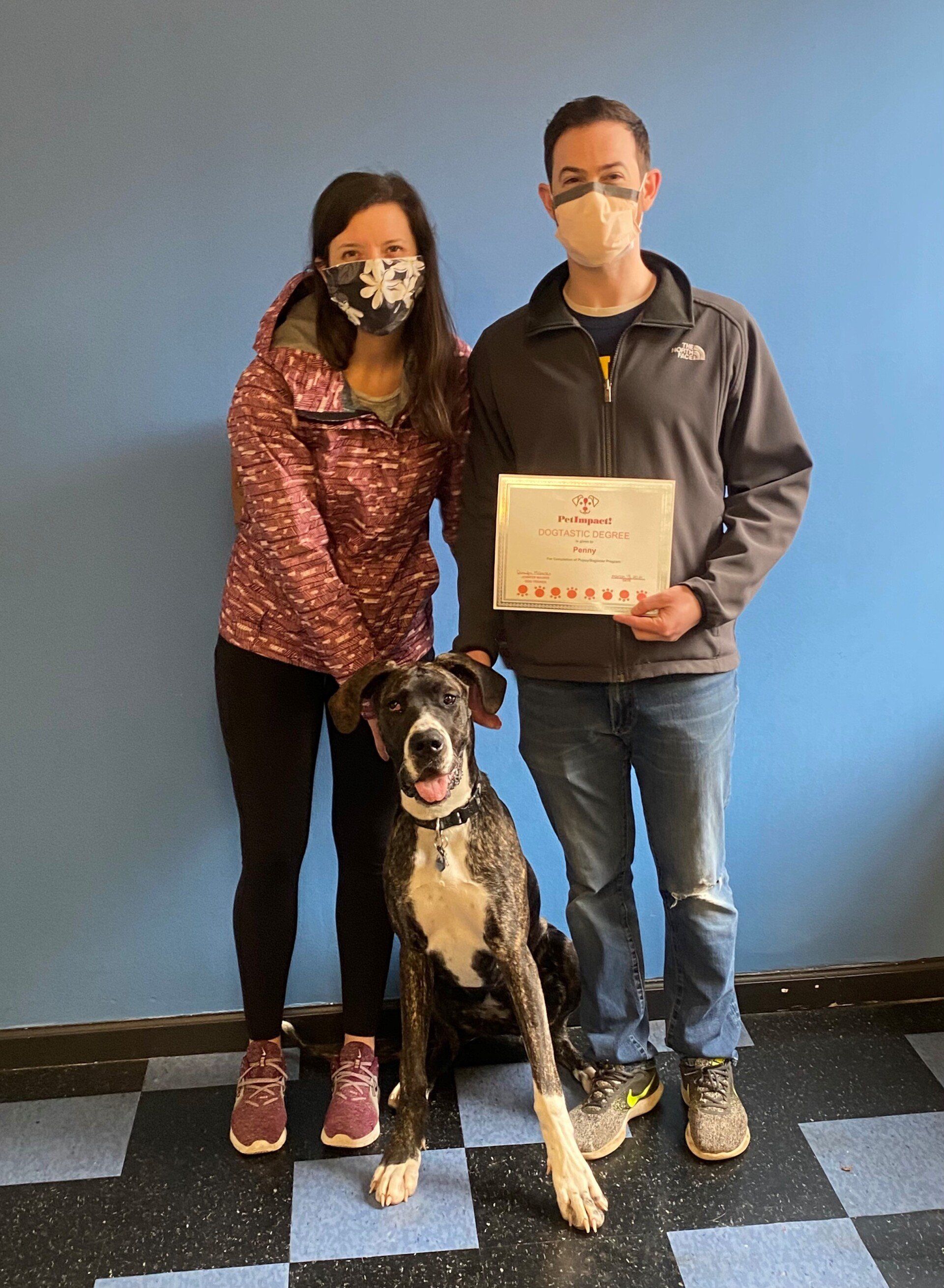 Woman, man, and dog pose; man holds certificate in front of a blue wall.