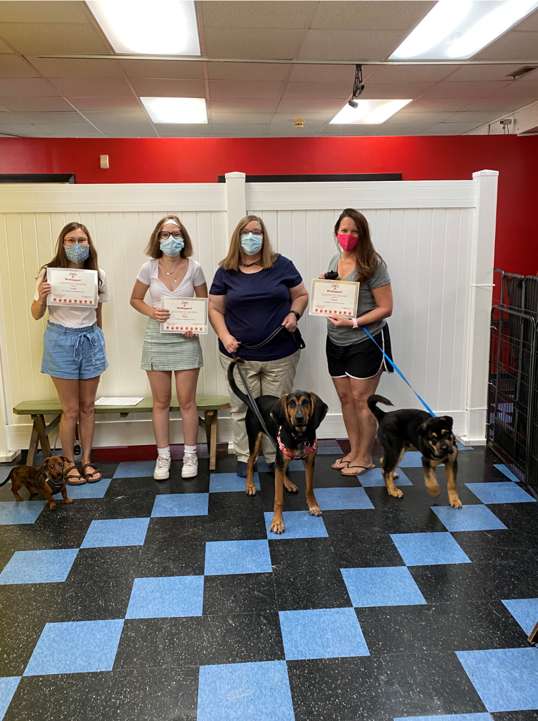Four people with dogs in an indoor setting; holding certificates. Blue and black checkered floor. White panel backdrop.