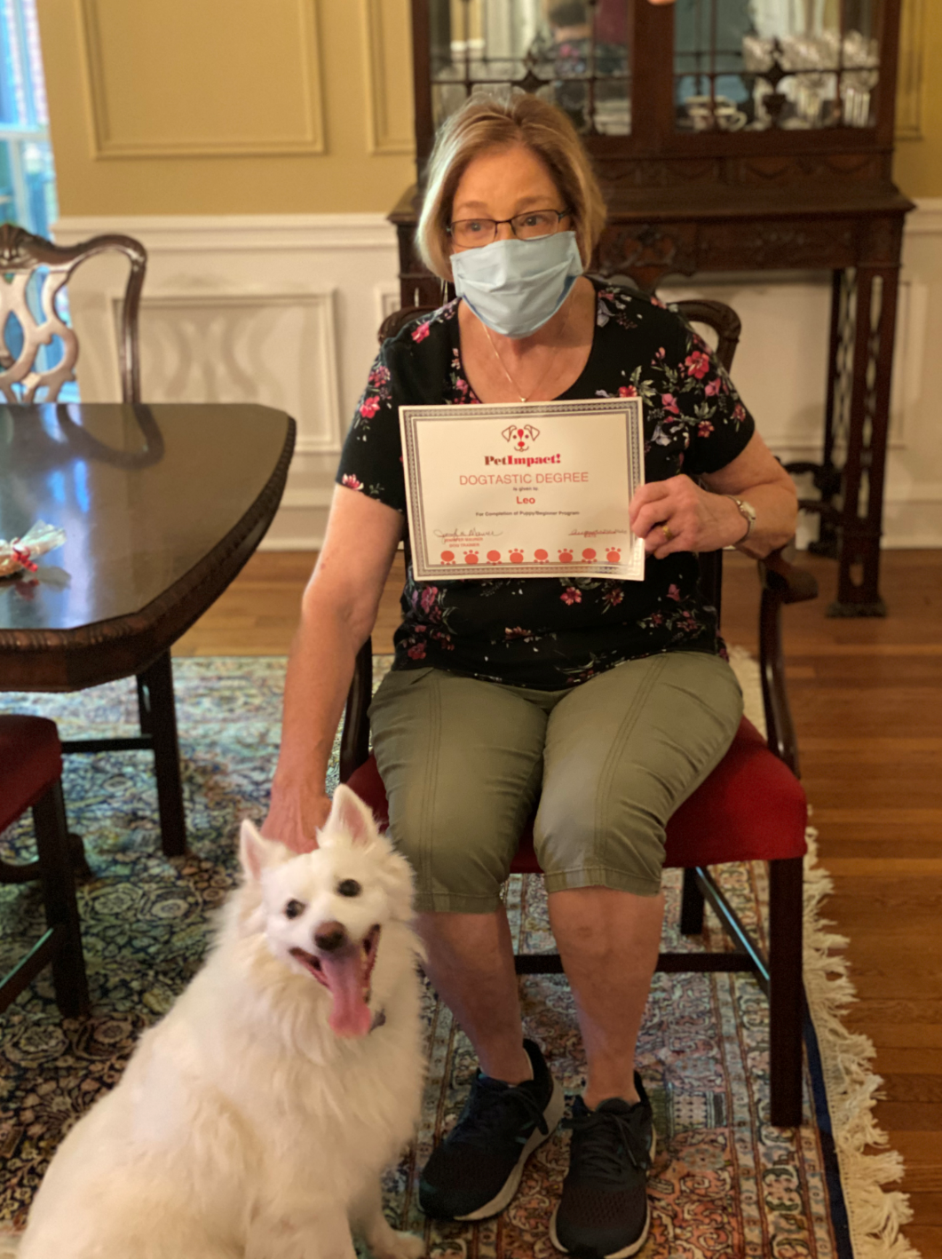 Woman in mask, holding certificate, sitting with white dog indoors.