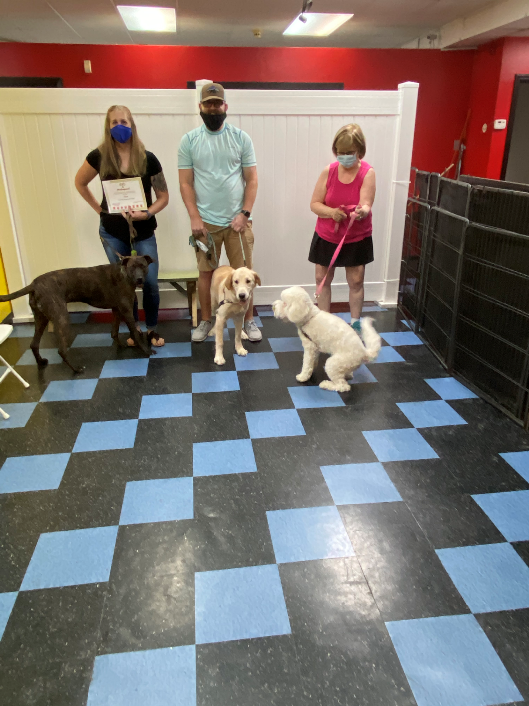 Three people and three dogs pose in a room with blue and black checkered floor. The person on the left holds a certificate.