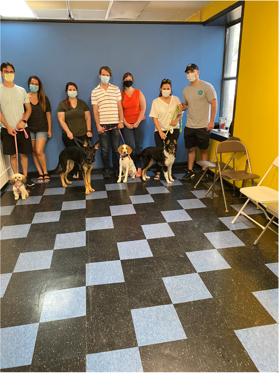 People with dogs in a training class, indoor room with blue and yellow walls, checkered floor.