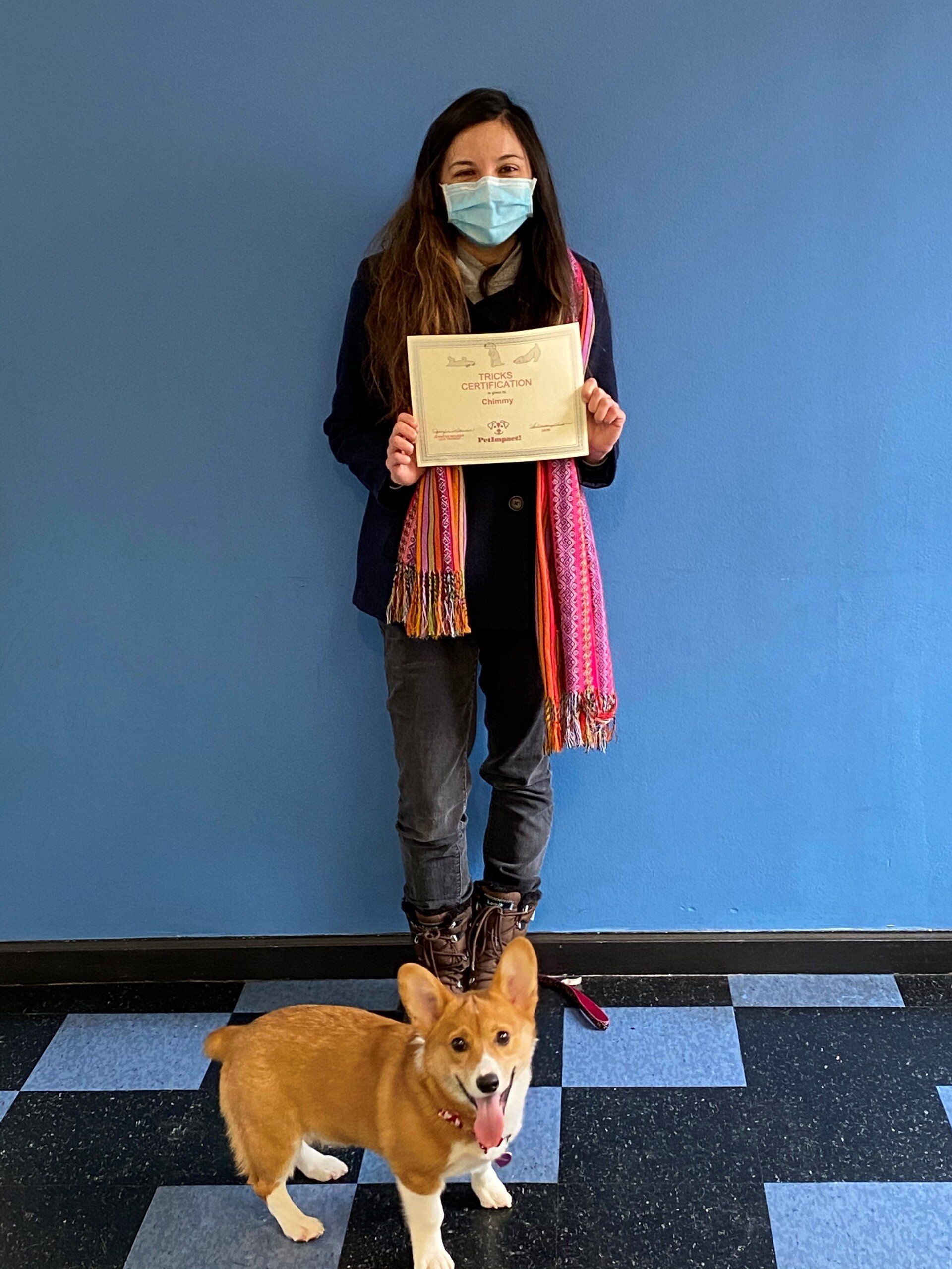 Woman in mask holds paper, stands with corgi in front of a blue wall.