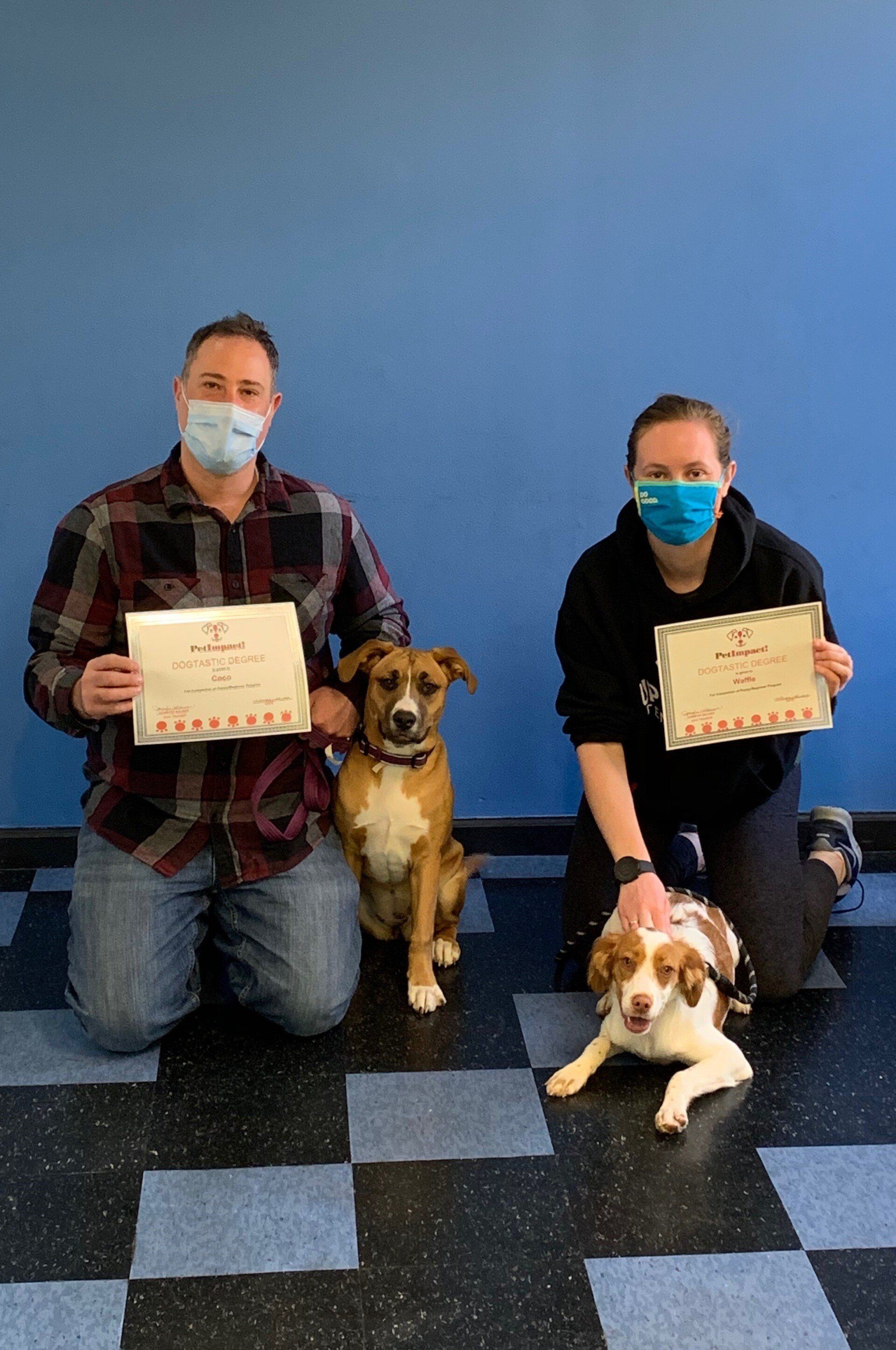 Two people kneeling with their dogs, holding certificates. They are wearing masks, in front of a blue wall.