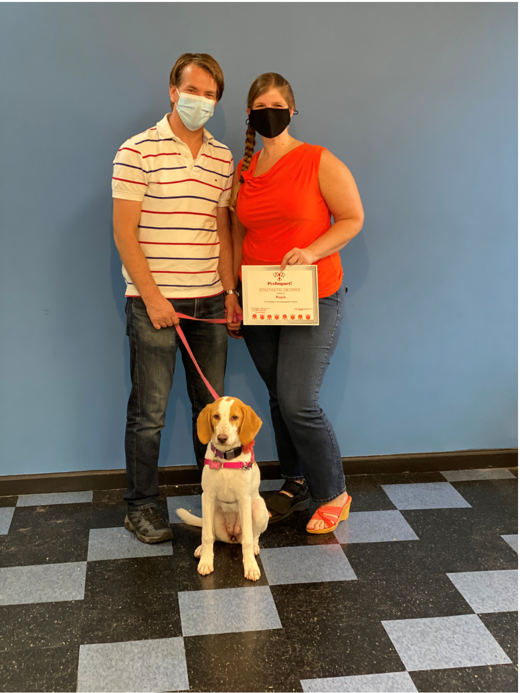 Couple with a dog, holding a certificate. Blue wall background, checkered floor.