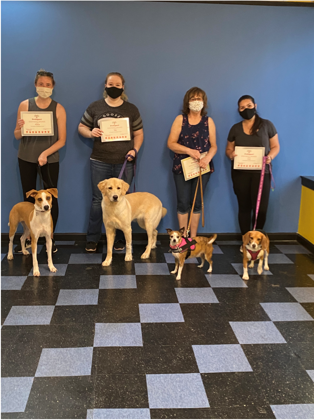 Four people and their dogs posing with certificates in a room with blue and black checkered floors.