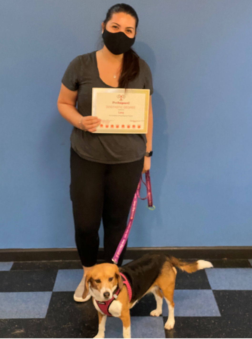 Woman in mask holding certificate with beagle on leash in front of blue wall.
