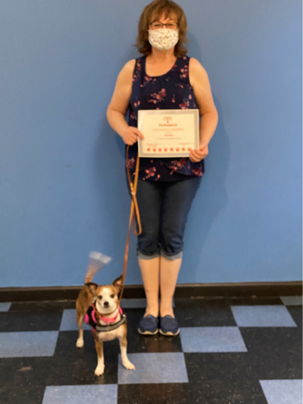 Woman in floral top and capri pants, holding a certificate with small dog on leash. Blue wall background.