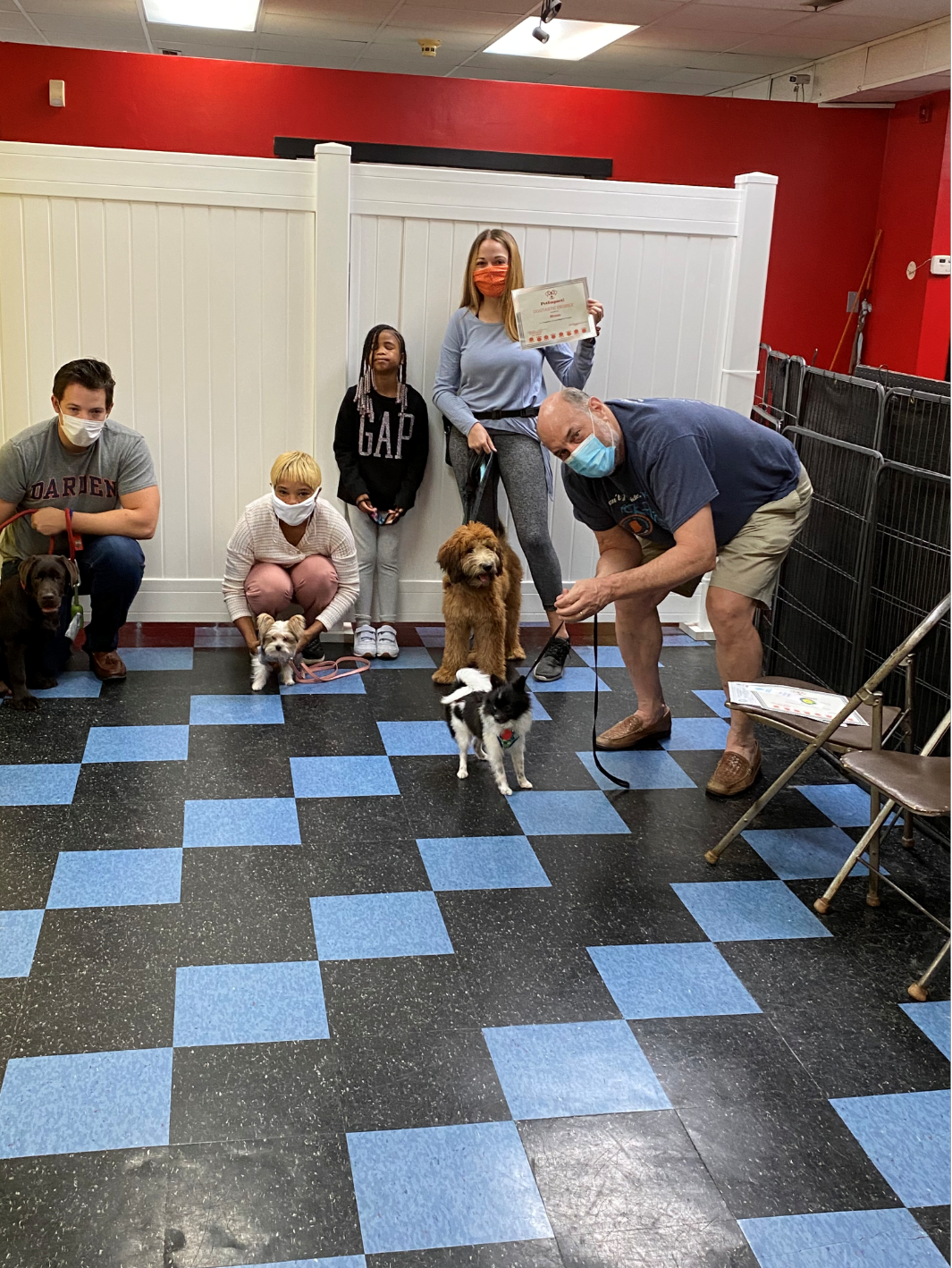 People and dogs in a pet grooming business. Some people wear masks.