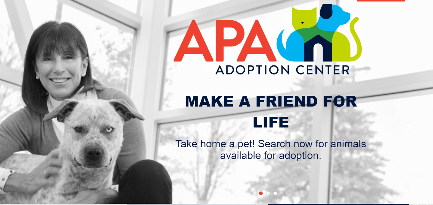 Dog Adaption Concept — St. Louis, MO — PetImpact! Dog Training