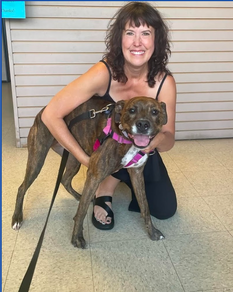 A woman is kneeling down next to a brown dog