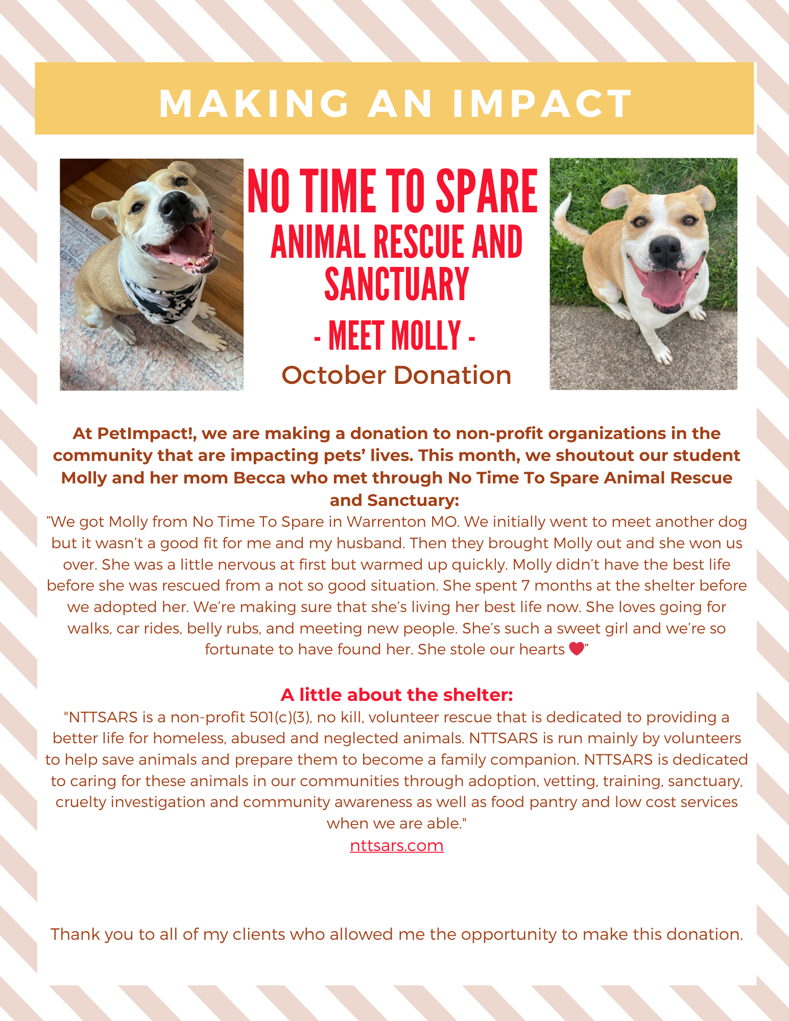 October 2024 Donations — St. Louis, MO — PetImpact! Dog Training